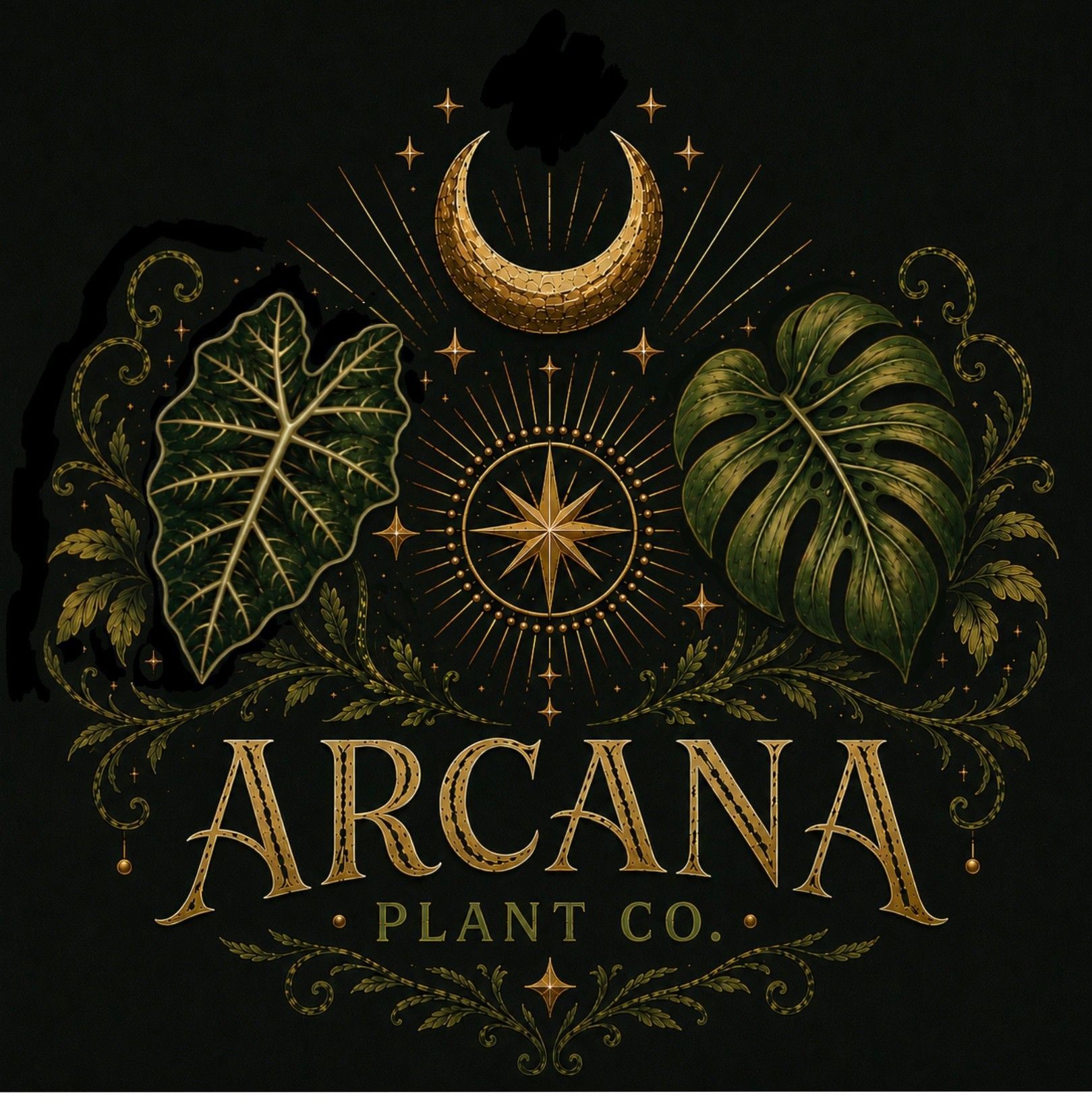 Arcana Plant Co. crest: green tropical leaves, a gold crescent moon and a compass star.